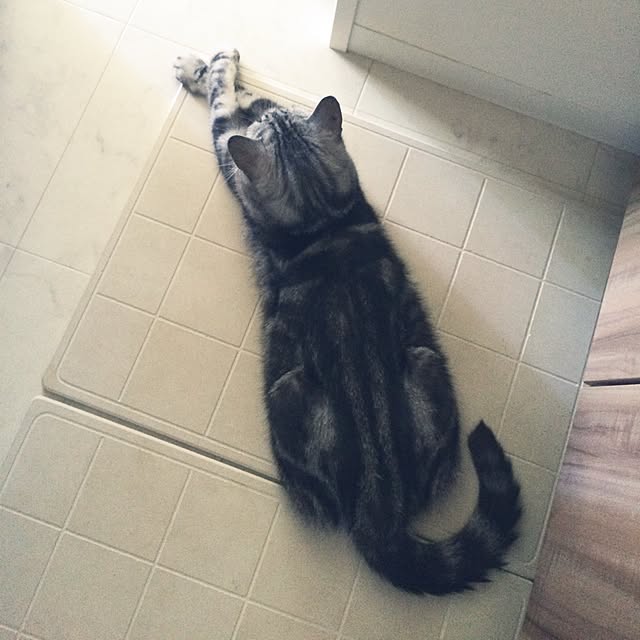mikomaruさんの実例写真