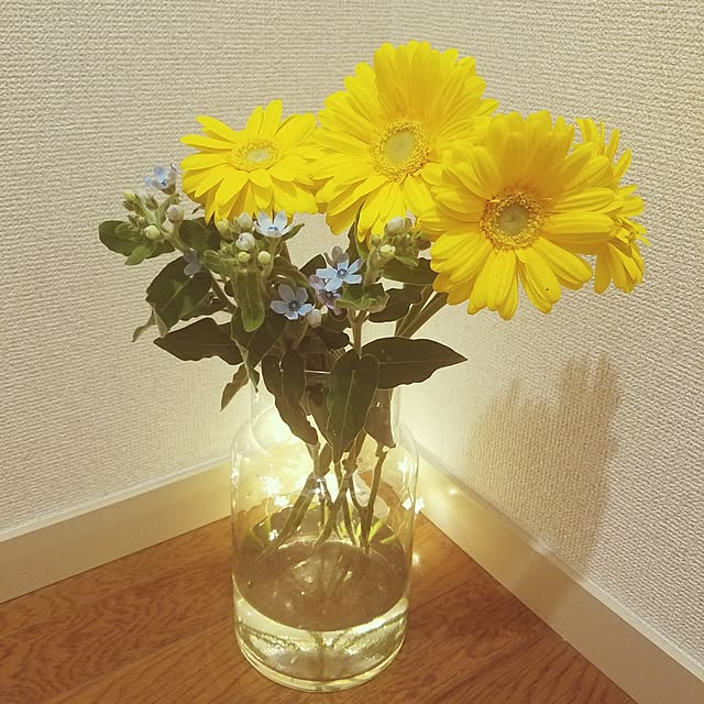 yuukaringoさんの実例写真