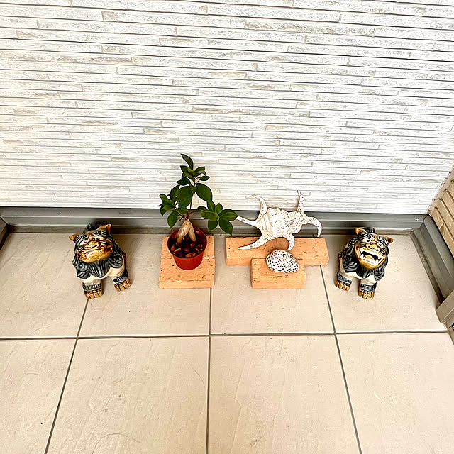 mocoさんの実例写真