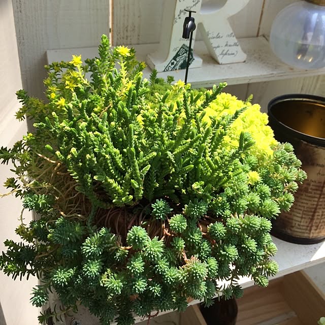 kan0514さんの実例写真