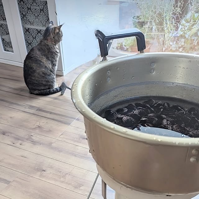 mamimamipockyさんの部屋