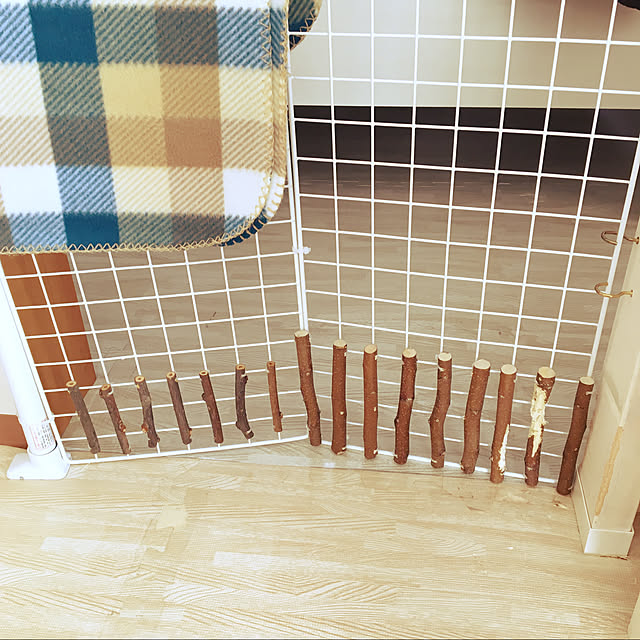 Nanaさんの実例写真