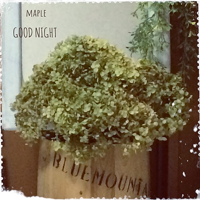 mapleさんの実例写真