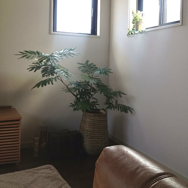 becteさんの実例写真