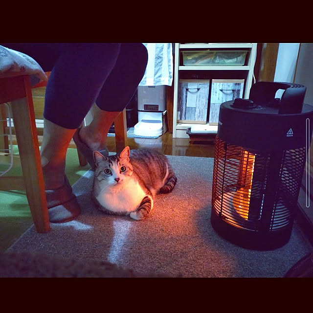mntcさんの実例写真
