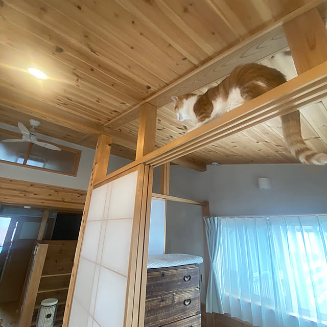 senbei.sakuramochiさんの実例写真