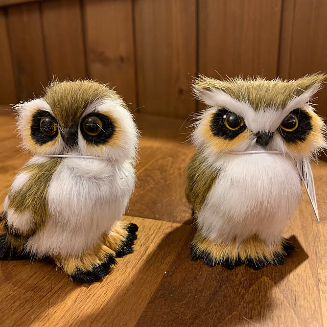 tabasaさんの実例写真
