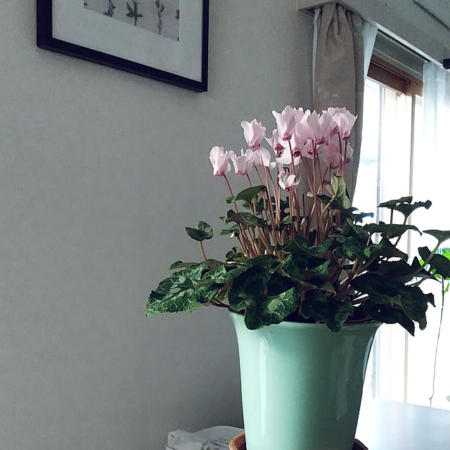 Renさんの実例写真