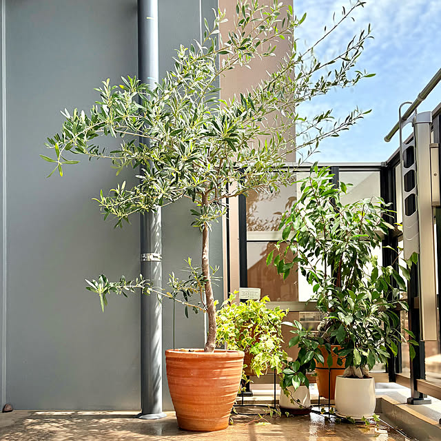 up0524さんの実例写真