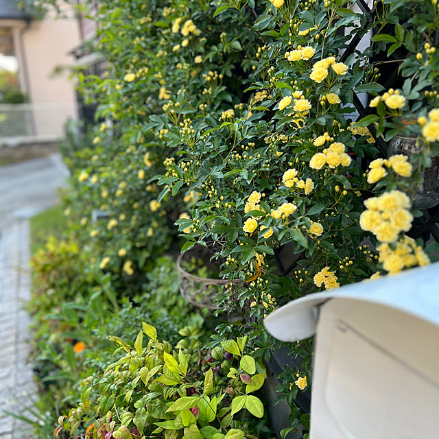 実例写真