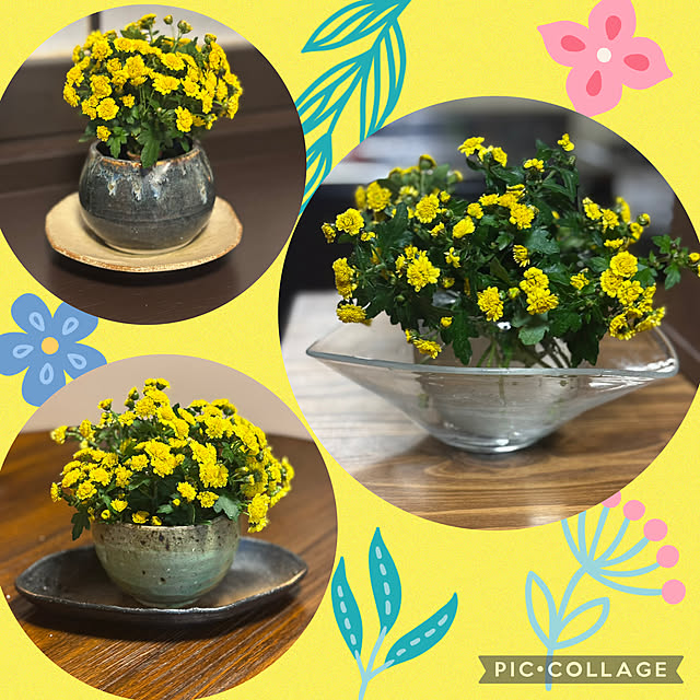 Smilkazuさんの実例写真