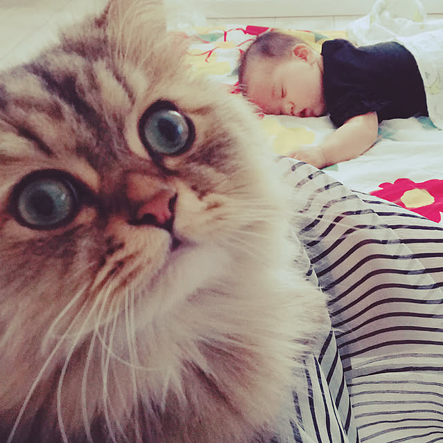 erikaさんの実例写真