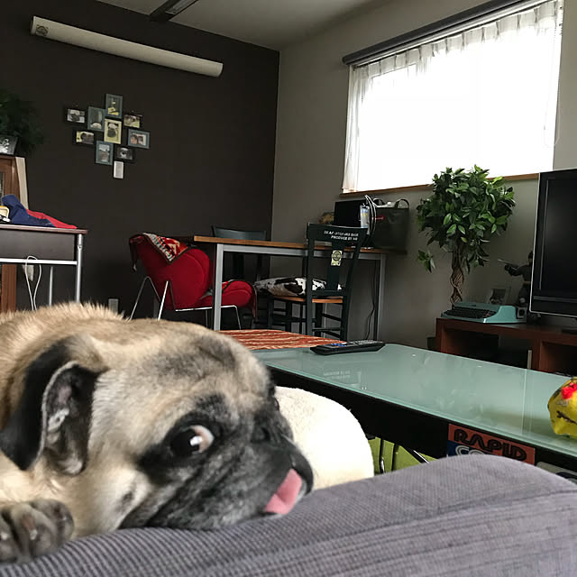 kellyさんの実例写真
