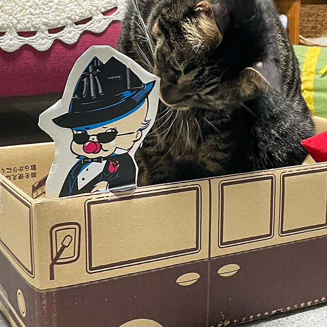 momocchiさんの部屋