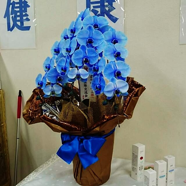 asianoneさんの実例写真