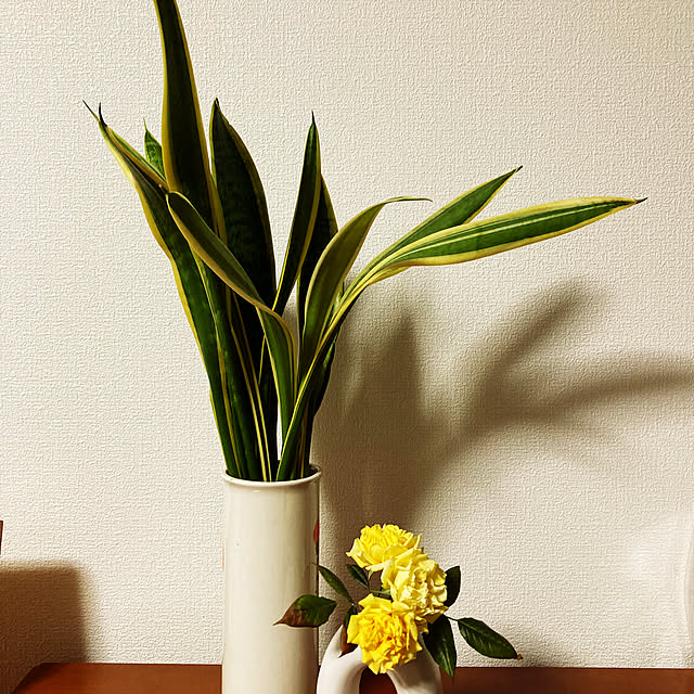 yuko.sgt0726さんの実例写真