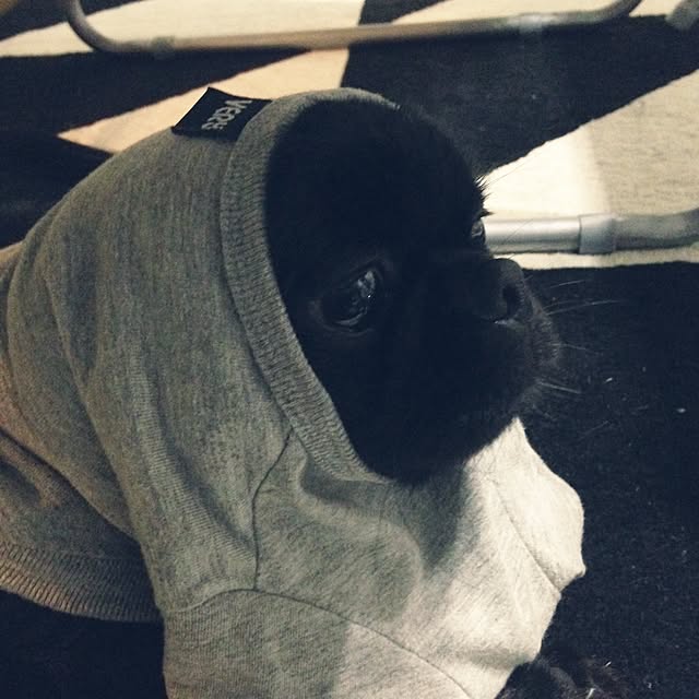 co-hi-yoさんの実例写真