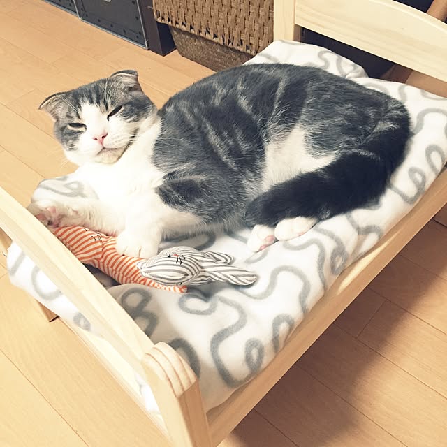 tansukeさんの実例写真
