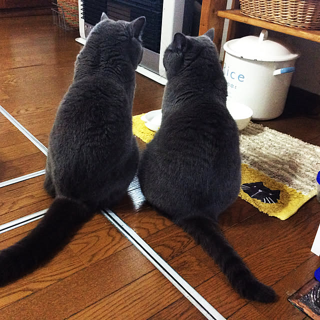 pochacoさんの実例写真