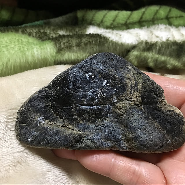 sakuranboさんの実例写真