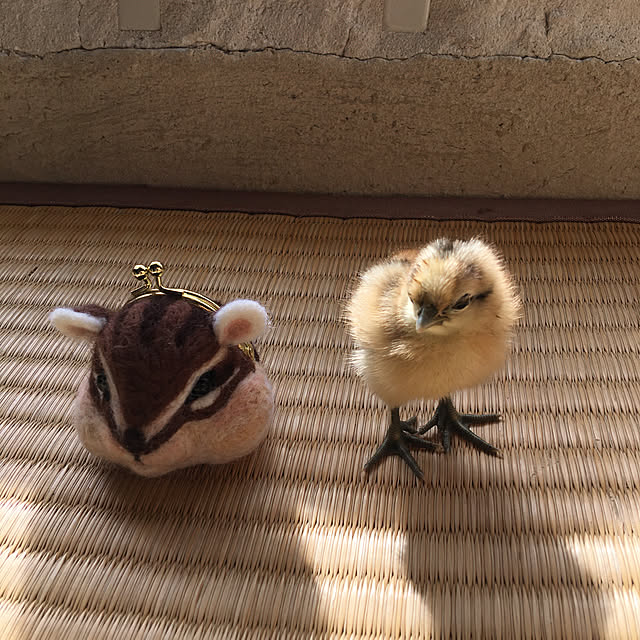 nishibaruyaさんの実例写真