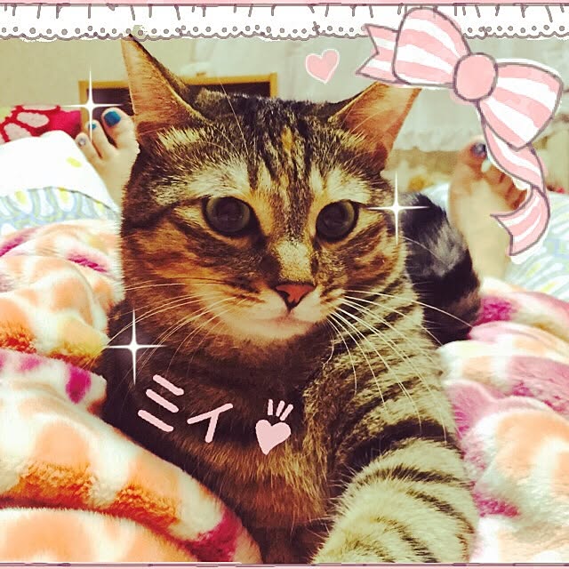 MASAさんの実例写真