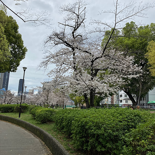 masaさんの部屋