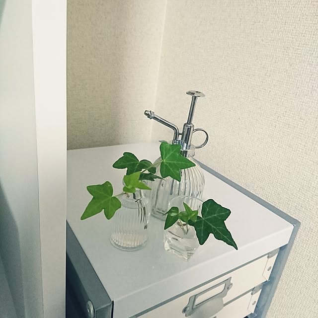 sさんの実例写真