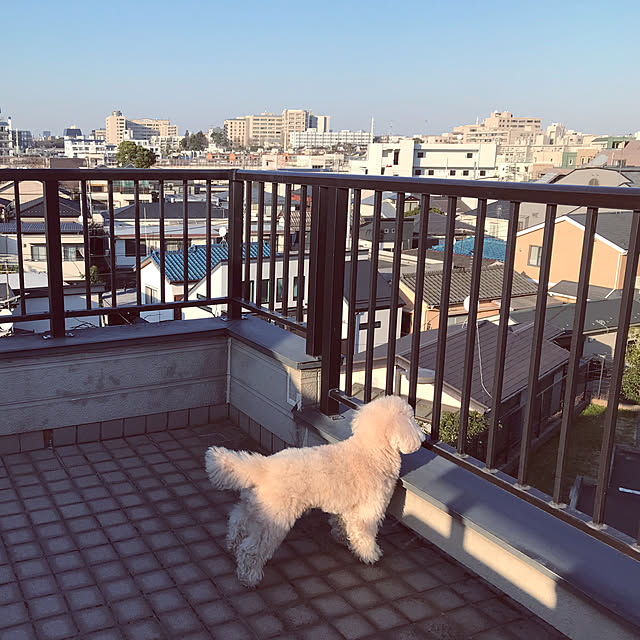 madamkaoriさんの部屋