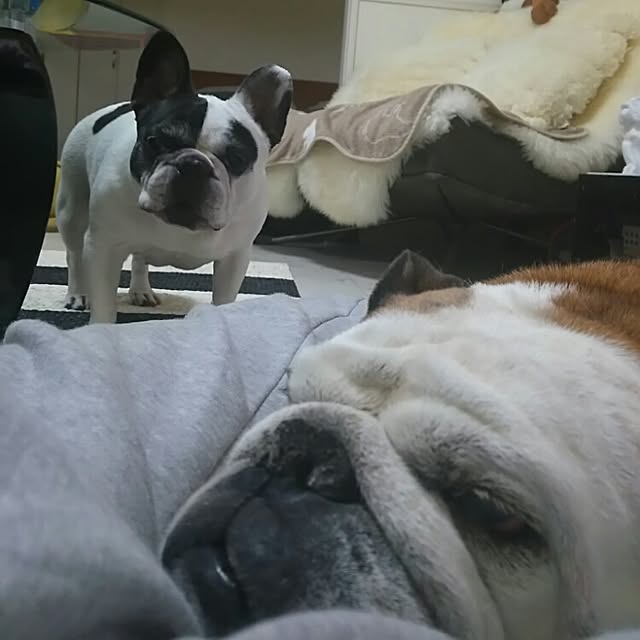 AandPさんの実例写真