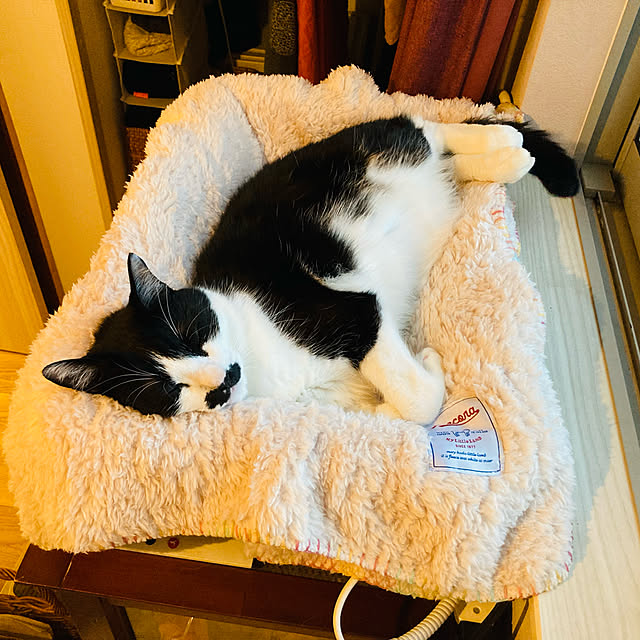 sakura_171220さんの実例写真