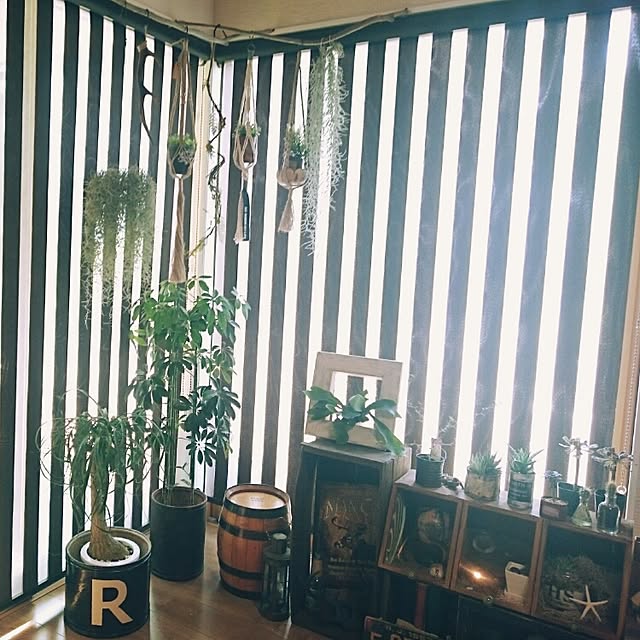 miccoさんの実例写真