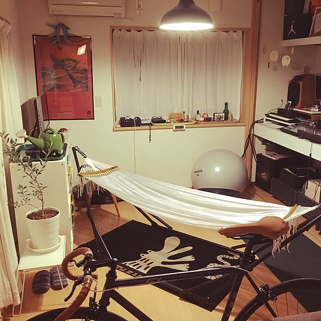 実例写真