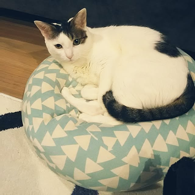 sunnyさんの実例写真