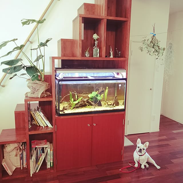 koyuki1115さんの実例写真