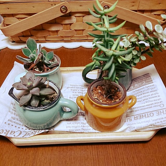 necojitaAIKOさんの実例写真