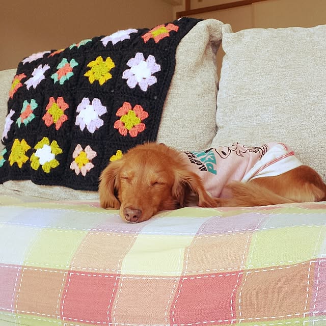 sumireさんの実例写真