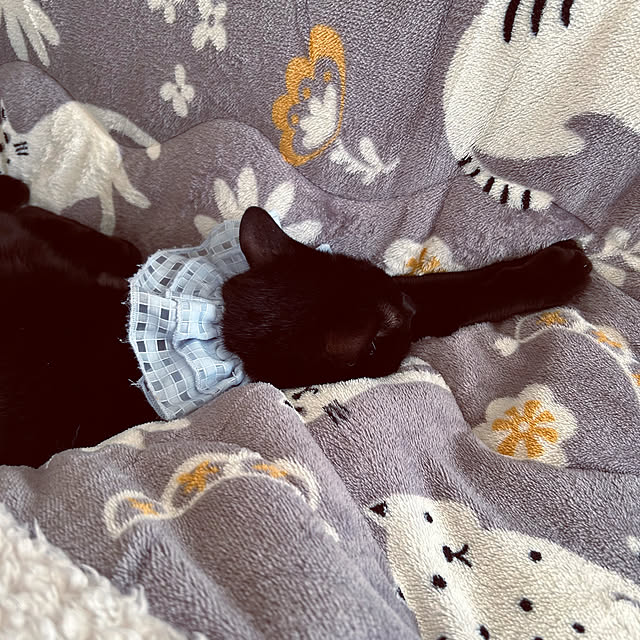 nekomiさんの部屋