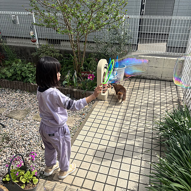 chIoeさんの部屋