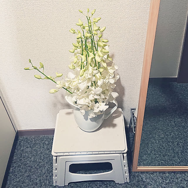 tora.maさんの実例写真