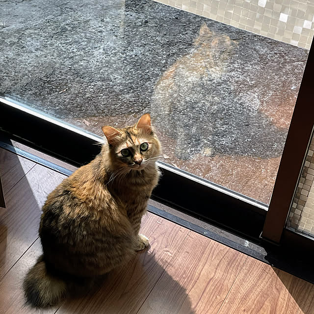 kikurinさんの部屋