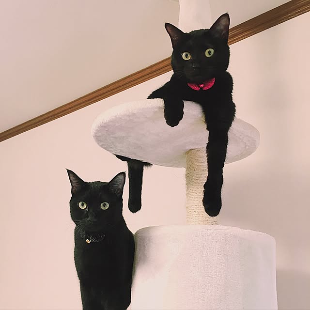 nonoさんの実例写真