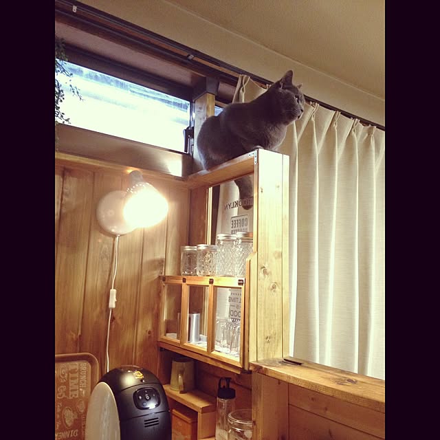 meguさんの実例写真