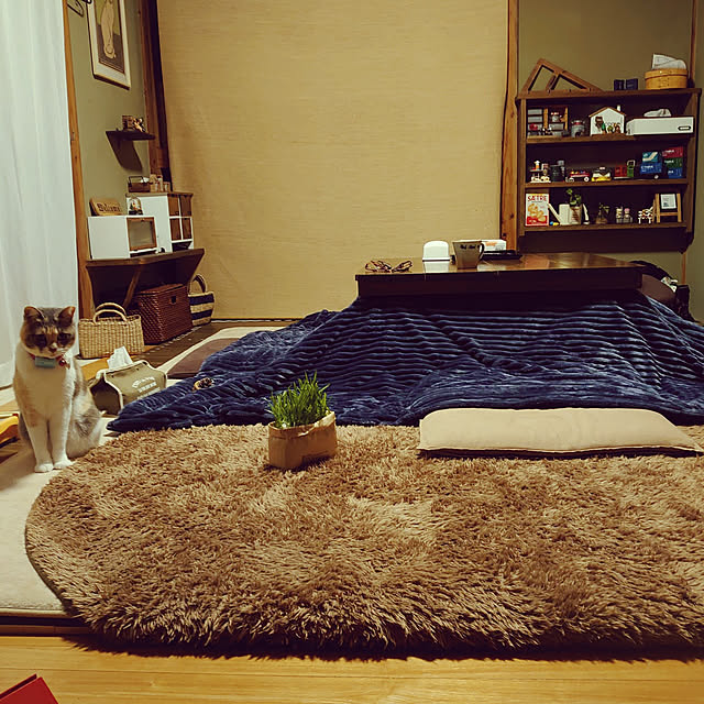 fukuさんの実例写真