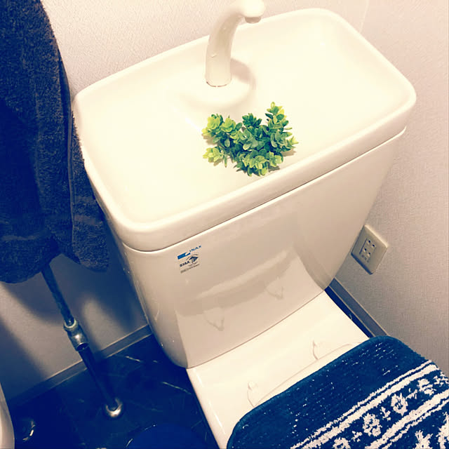 parrotさんの実例写真