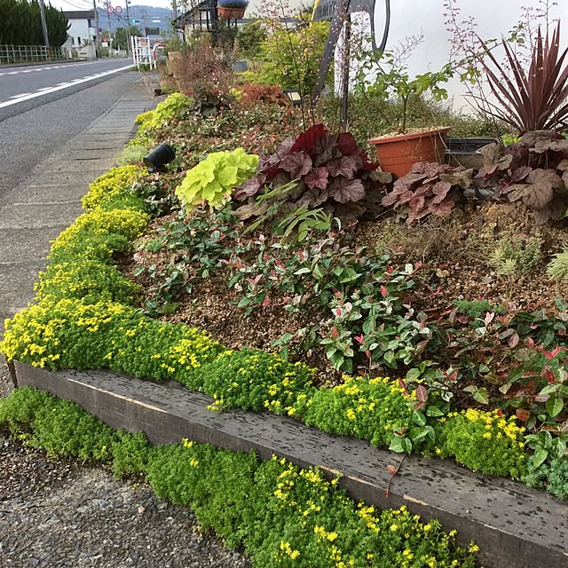 osharetomさんの実例写真
