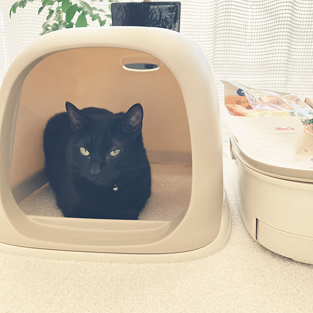 nekomiさんの部屋