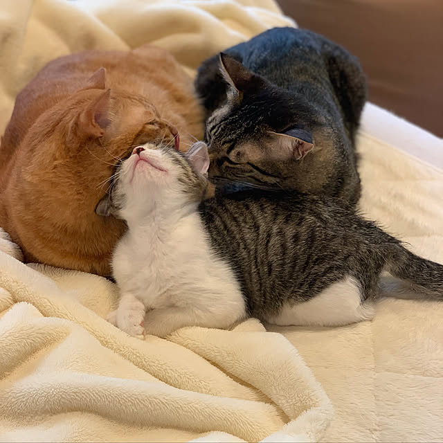 rioさんの実例写真