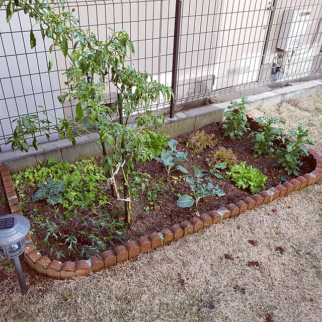 masaさんの実例写真