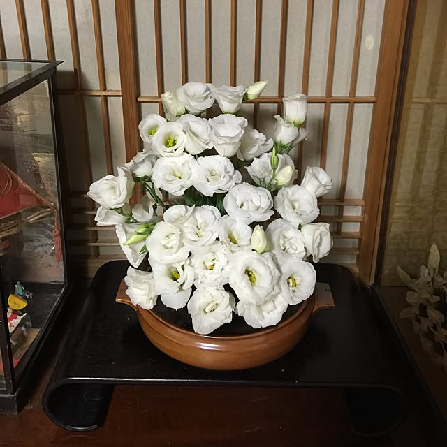 fusaさんの実例写真